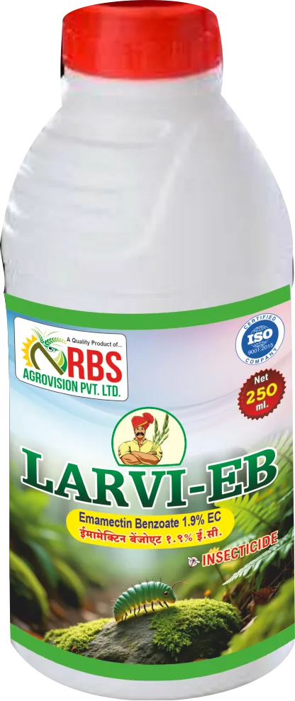 larvi eb